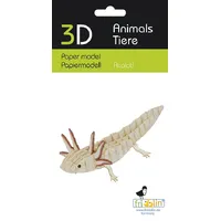 3D Paper Model - Axolotl
