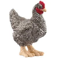 Plymouth Rock Chicken - 2025