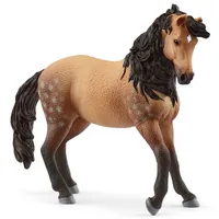 Andalusian Mare- 2025