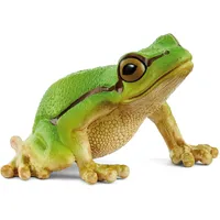 European Tree Frog - 2025