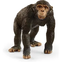 Chimpanzee - 2025