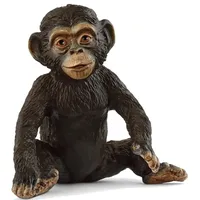 Chimpanzee Cub - 2025