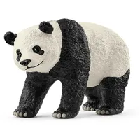 Giant Panda- 2025