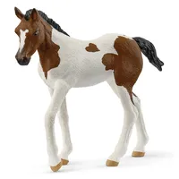Paint Horse Foal- 2025