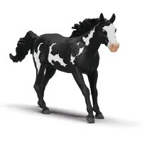 Paint Horse Gelding- 2025