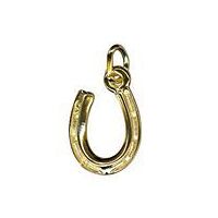 Charm - Horseshoe Silver image