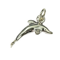Charm - Dolphin Silver image
