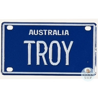 Name Plate - Troy