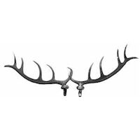 Parts - Antlers Plastic 4"