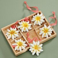 Edelweiss Flower Poly Magnet