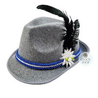 Grey & Blue Trilby Party Hat With Feather image