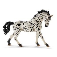 Knabstrupper Mare