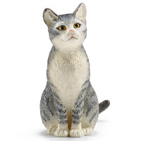 Grey Cat Sitting image