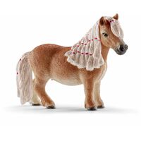 Miniature Shetland Mare