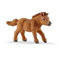 Miniature Shetland Foal