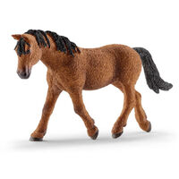 Bashkir Curly Mare