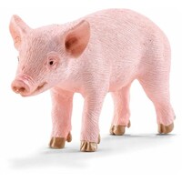 Piglet Standing