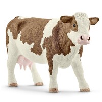 Simmental Cow