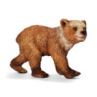 Grizzly Bear Cub