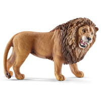 Lion Roaring image