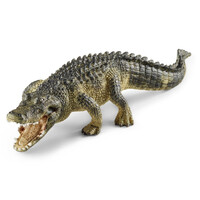 Alligator image