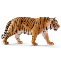 Tiger (Orange) image