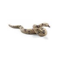Boa Constrictor