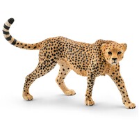Cheetah (Female) image