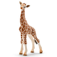 Giraffe (Calf)  image