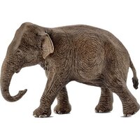 Asian Elephant (Female) image