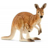 Kangaroo image