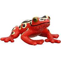 Afican Reed Frog