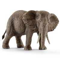 African Elephant (Female) image