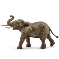 African Elephant Male