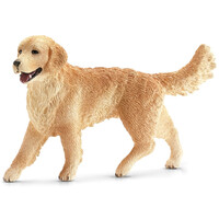 Golden Retriever Female image