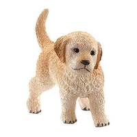 Golden Retriever Puppy