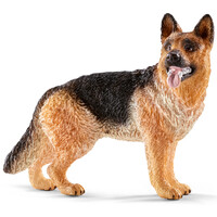 German Shepherd image