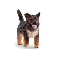 German Shepherd Puppy