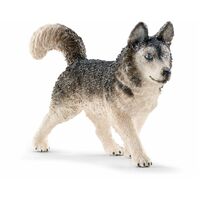 Schleich - Husky