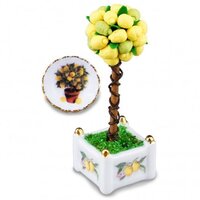 Miniature Lemon Tree Set
