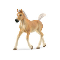 Haflinger Foal image