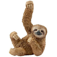 Sloth image