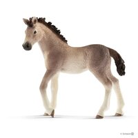 Andalusian Foal image