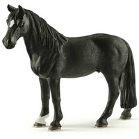 Tennessy Walker Gelding