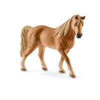 Tennessy Walker Mare