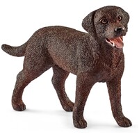 Labrador Retriever Female image