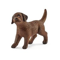 Labrador Retriever Puppy