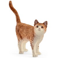 Ginger Cat image