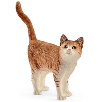 Ginger Cat