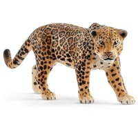 Jaguar image